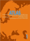 Image for Archeologicky Atlas Evropy