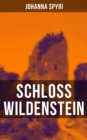Image for Schloss Wildenstein: Der Kampf der jugendlichen Helden mit dem bosen Geist