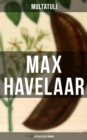 Image for Max Havelaar (Historischer Roman)