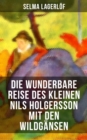 Image for Die Wunderbare Reise Des Kleinen Nils Holgersson Mit Den Wildgansen