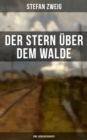 Image for Der Stern Uber Dem Walde: Eine Liebesgeschichte