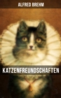 Image for Katzenfreundschaften