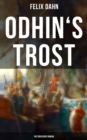 Image for Odhin&#39;&#39;s Trost: Historischer Roman: Eine nordische Geschichte aus dem elften Jahrhundert