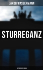 Image for Sturreganz: Historischer Roman