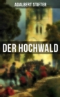 Image for Der Hochwald: Historischer Roman - Scheiternde Liebesgeschichte vor der Kulisse des Dreiigjahrigen Krieges