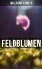 Image for Feldblumen
