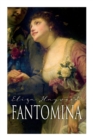 Image for Fantomina : Love in a Maze