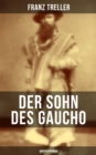 Image for Der Sohn des Gaucho (Abenteuerroman)
