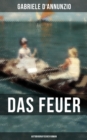 Image for Das Feuer (Autobiografischer Roman)