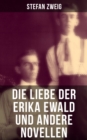 Image for Die Liebe Der Erika Ewald Und Andere Novellen