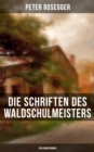 Image for Die Schriften Des Waldschulmeisters (Ein Heimatroman)