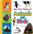 Image for My First Book of Animals &amp; Birds