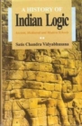Image for A History of Indian Logic