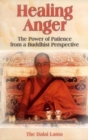 Image for Healing Anger : The Power of Patience from a Buddhist Perspective
