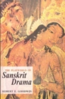 Image for The Playworld of Sanskrit Drama