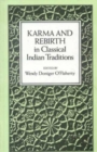 Image for Karma and Rebirth in Classical Indian Traditions