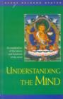 Image for Understanding the Mind