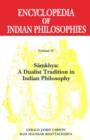 Image for Encyclopedia of Indian Philosophies (Vol. 4)