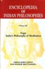 Image for Encyclopedia of Indian Philosophies