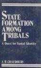 Image for State Formation Among Tribals