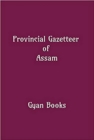 Image for Provincial Gazetteer of Assam