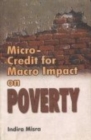 Image for Micro Credit for Macro Impact on Poverty