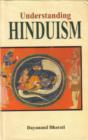 Image for Understanding Hinduism