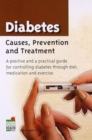 Image for Diabetes : Causes, Prevention and Treatment
