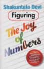 Image for Figuring the Joy of Numbers
