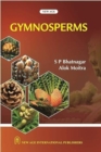 Image for Gymnosperms