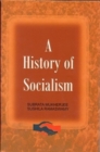 Image for A History of Socialism