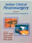 Image for Indian Clinical Neurosurgery