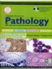 Image for Complete Review of Pathology