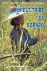 Image for A Forest Tribe of Borneo