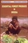 Image for Essential Forest Produce in Orissa
