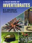 Image for A Textbook of Invertebrates
