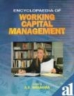 Image for Encyclopaedia of Working Capital Management