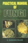 Image for Practical Manual of Funghi
