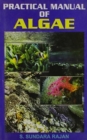 Image for Practical Manual of Algae