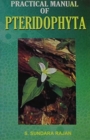 Image for Practical Manual of Pteridophyta