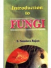 Image for Introduction to Fungi