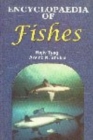 Image for Encyclopaedia of Fishes