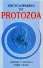Image for Encyclopaedia of Protozoa
