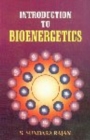 Image for Introduction to Bioenergetics