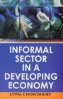 Image for Informal Sector in a Developing Economy