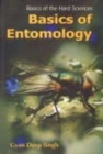 Image for Basics of Entomology