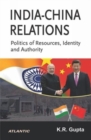 Image for India-China Relations Politics of Resources, Identity and Authority