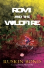 Image for Rom and the Wildfire