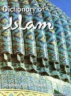Image for Dictionary of Islam