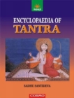 Image for Encyclopedia of Tantra
